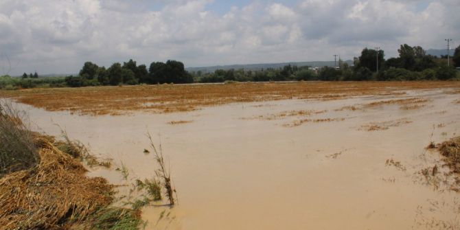 Manavgat’ta Etkili Olan Yağmur Yüzlerce Dönüm Ekili Araziye Zarar Verdi