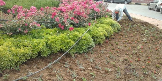 Alaşehir Parkları Güzelleşiyor