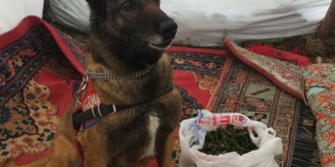 Jandarmadan Uyuşturucu Operasyonu