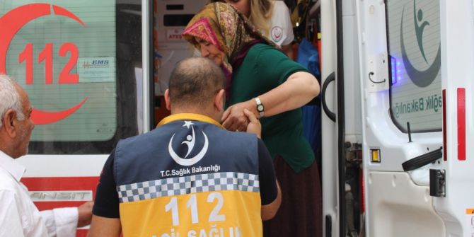 Bahçeyi İlaçlayan Kadın Zehirlendi