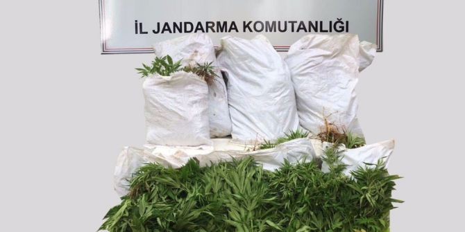 Manavgat’ta Hint Keneviri Operasyonu