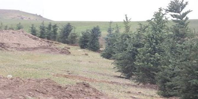 Tutak’ta Mesire Alanı Çalışması Başladı