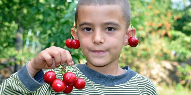 Kiraz Borsası Türkiye’de Bu Köyde Kuruluyor