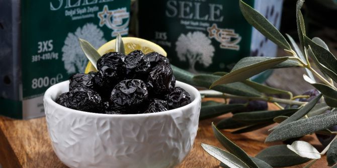 Bursa’da Zeytin Ağacı Envanteri Çıkarılıyor