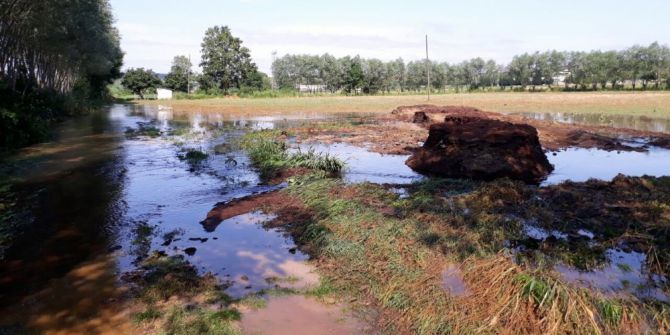 Sakarya’da Tarım Arazileri Sular Altında Kaldı