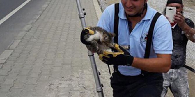 Kuyuya Düşen Kedinin İmdadına İtfaiye Yetişti