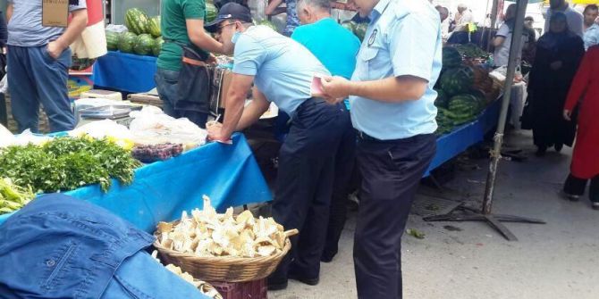 Zabıtadan Zehirli Mantar Uyarısı