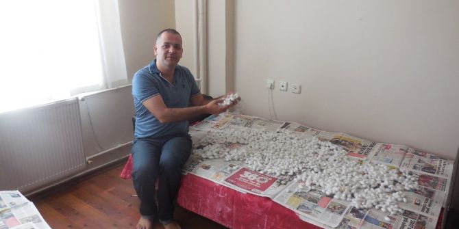 İpek Böceği Yetiştiricisinin İlk Hasat Heyecanı