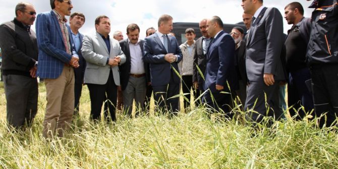 Doludan Zarar Gören Tarlalar Kayıt Altına Alınacak