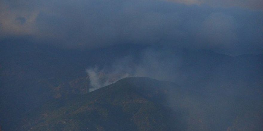 Erbaa’da Orman Yangını