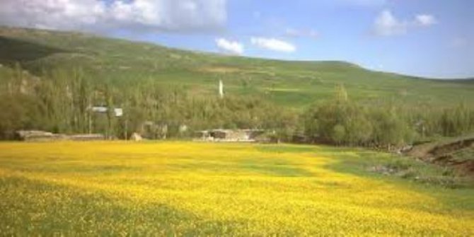 Ağrı Taşlıçay İkiyamaç Köyü