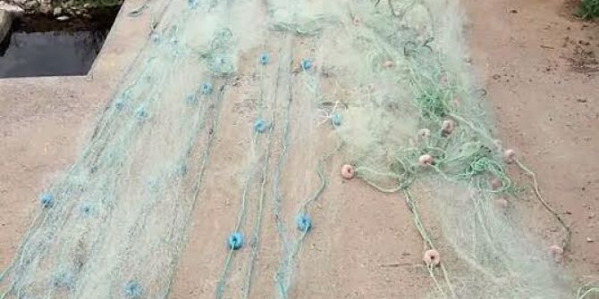 Jandarma Kaçak Avcılara Göz Açtırmıyor