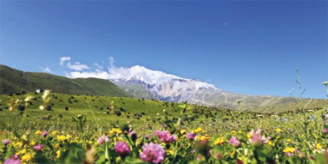 Ağrı Taşlıçay Balçiçek Köyü