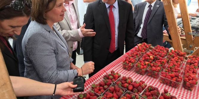 Kosova’da “Çilek Ve Yaban Mersini Fuarı” Başladı