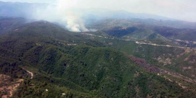 Hatay’da Orman Yangını