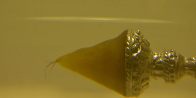 Siverek’te Sakal-ı Şerif Ziyarete Açıldı