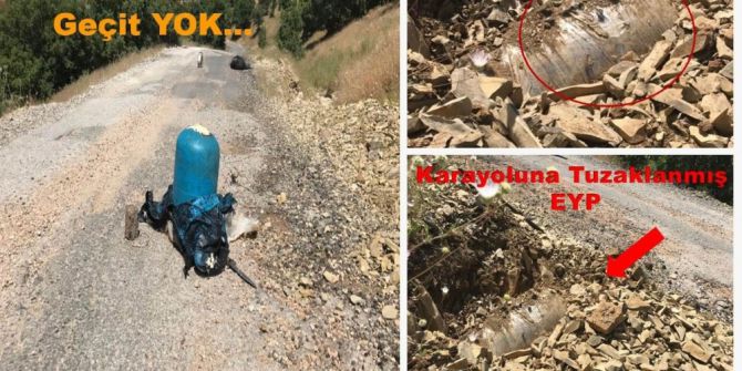 Diyarbakır’da 4 Ton 710 Kilogram Esrar Maddesi Ele Geçirildi