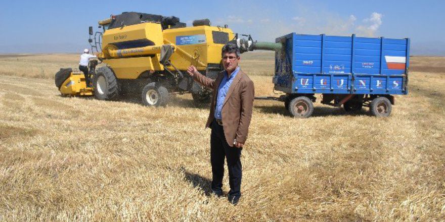 Ağrı’da Hububat Hasadı Başladı