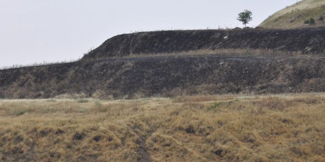 Çiftçiler Bile Bile Kendi Tarlalarına Zarar Veriyor