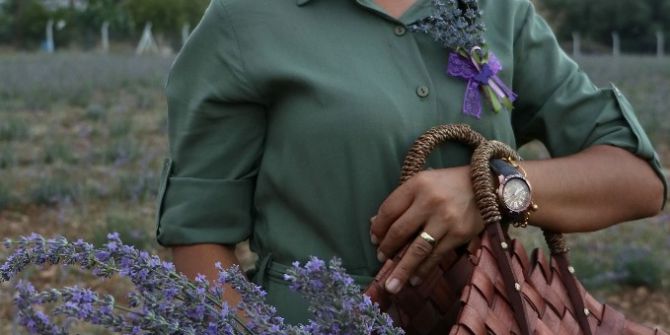 Lavanta Sevgisi Atıl Araziyi Renklendirdi