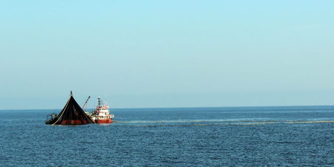 Ordu’da Balık Avı Azaldı