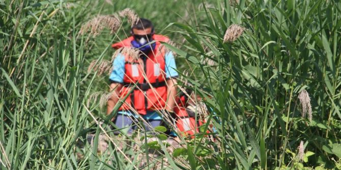 Vektör Mücadelesine Son Sistem Teknoloji