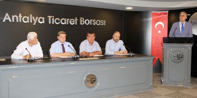 Yaş Sebze Meyve İhracatı 2008 Yılının Rakamlarına Ulaştı