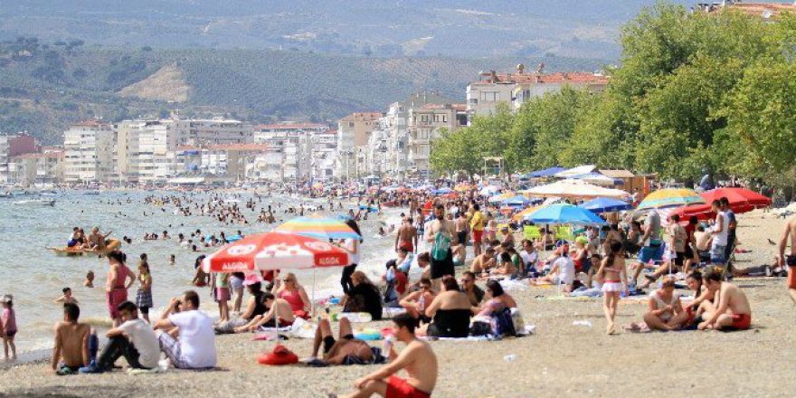 Bursa Sahillerinden Güzel Haber