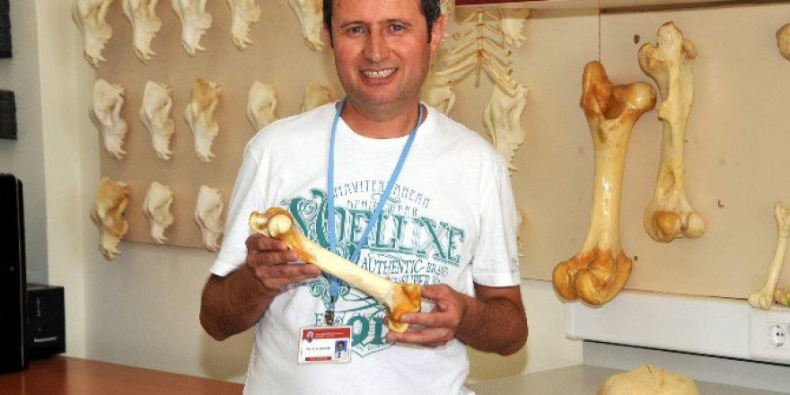 Adü, Hayvan İskeletleri Konusunda Türkiye’de Marka Oldu