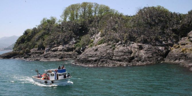 Bu Yılın İlk 5 Aylık Döneminde Doğu Karadeniz Bölgesi’ni 530 Binin Üzerinde Turist Ziyaret Etti