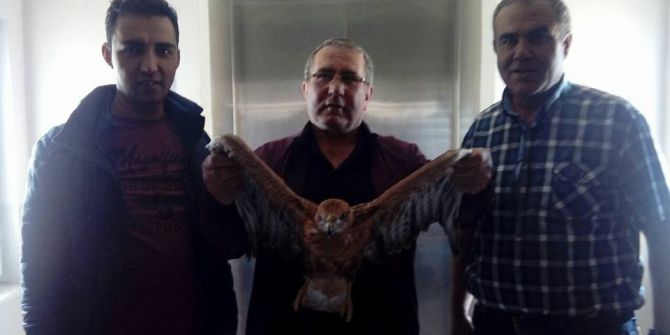 Yolda Bulduğu Kartalı İlçe Tarım Müdürlüğü’ne Teslim Etti