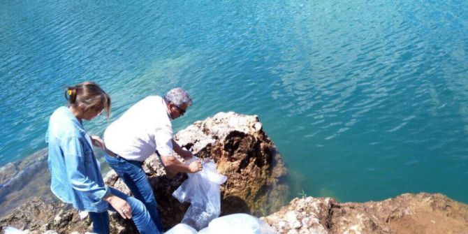 Manavgat Oymapınar Barajına 50 Bin Yavru Sazan Balığı Salındı