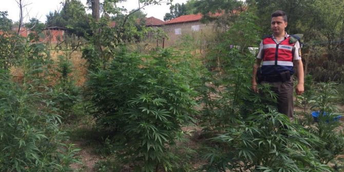 Çanakkale’de Uyuşturucu Operasyonu