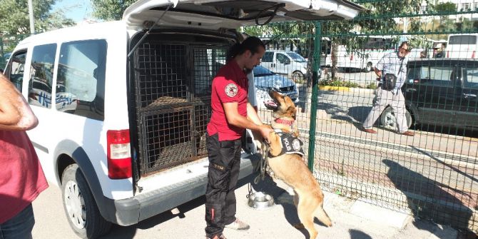 Bayram Tatili Öncesi Tatil Beldelerinde Olağanüstü Güvenlik Tedbiri