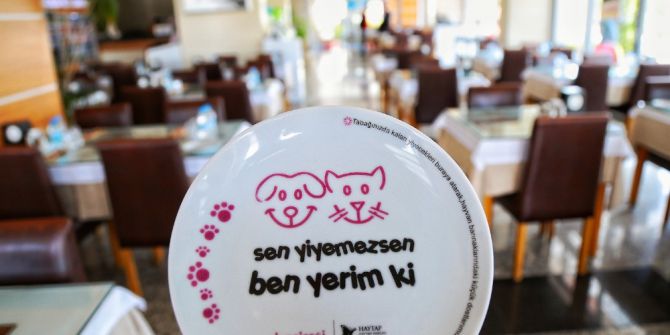 Sevimli Dostlar Aç Kalmasın Dedi, 60 Ton Yiyeceği Onlarla Buluşturdu