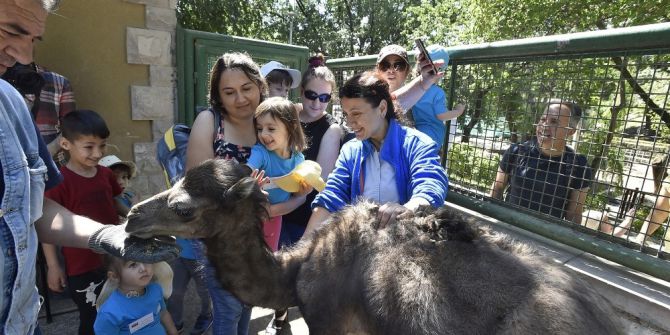 Keçiören Evcil Hayvanlar Parkı Ziyaretçilerini Bekliyor