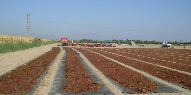 İyi Tarım Uygulamalarıyla Kuru Üzümde Tehdit Aşılacak