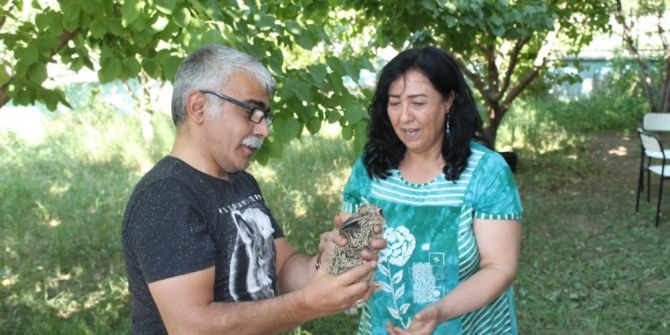 Yavru Tavşan Koruma Altına Alındı