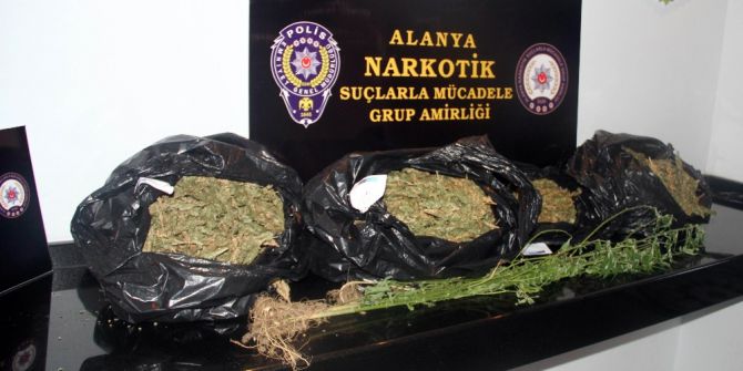 Alanya’da Uyuşturucu Operasyonu