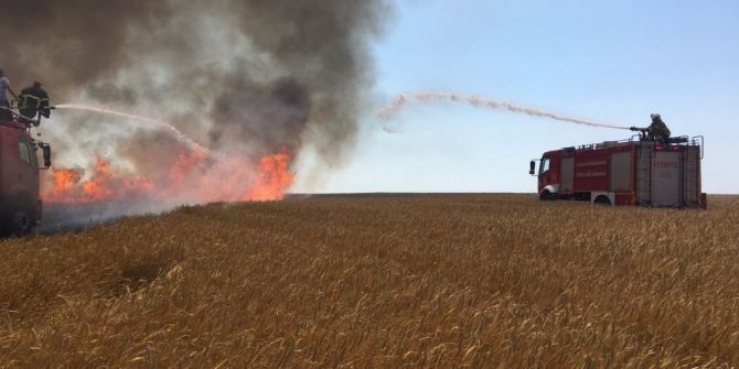 Bandırma’da Arazi Yangını