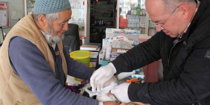 Yaralı Leyleğe Belediye Sahip Çıktı