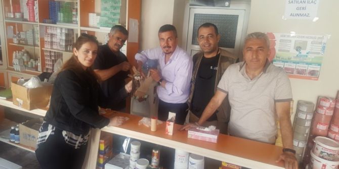 Çoban Aldatan Kuşu Tedavi Altına Alındı