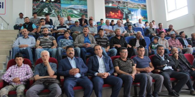 Ak Karaman Cinsi Koç Dağıtımı Çiftçiye Yapıldı