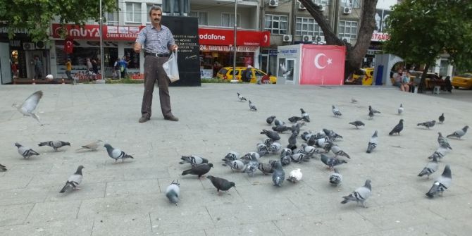 Ramazanda Güvercinlere Yem Verenlerin Sayısı Arttı