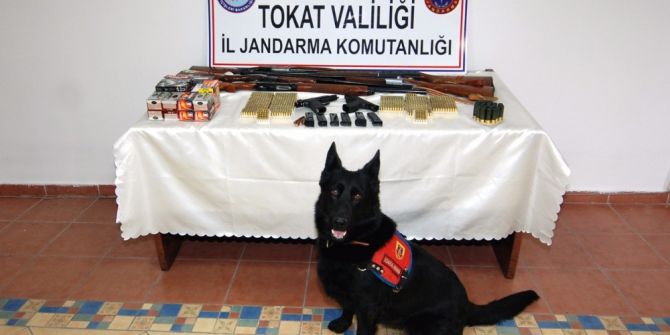 Tokat’ta Silah Kaçakçılarına Darbe