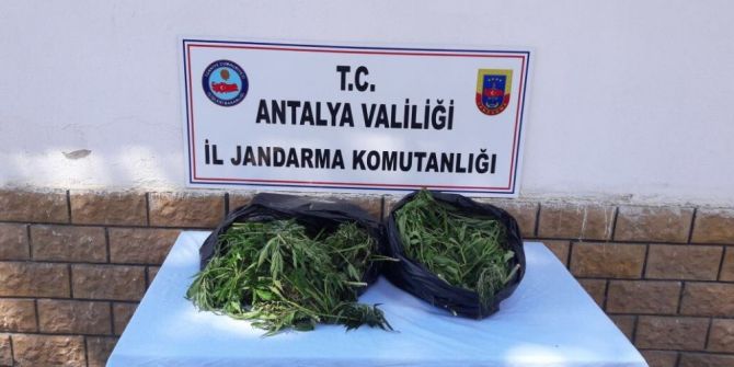 Antalya’da 10 Kilogram Esrar Ele Geçirildi