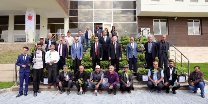 Yozgat’ta 19 Çiftçiye 5 Bin Adet Aşılı Asma Fidanı Dağıtıldı