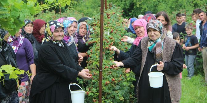 Ahududu Dalında Kaldı, Köylü Kadınlar İsyan Etti