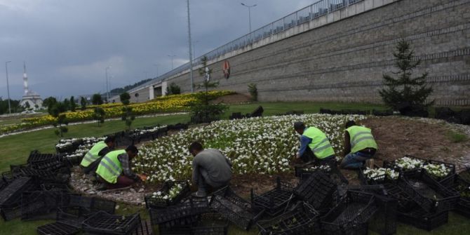 Düzce Belediyesi Kenti Çiçeklendirmeye Devam Ediyor