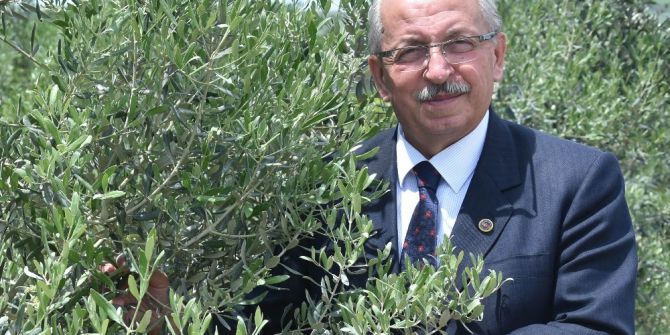 Başkan Albayrak: “Bayramlarda Bizi Birbirimize Bağlayan Manevi Duyguları En Güzel Şekilde Yaşarız”